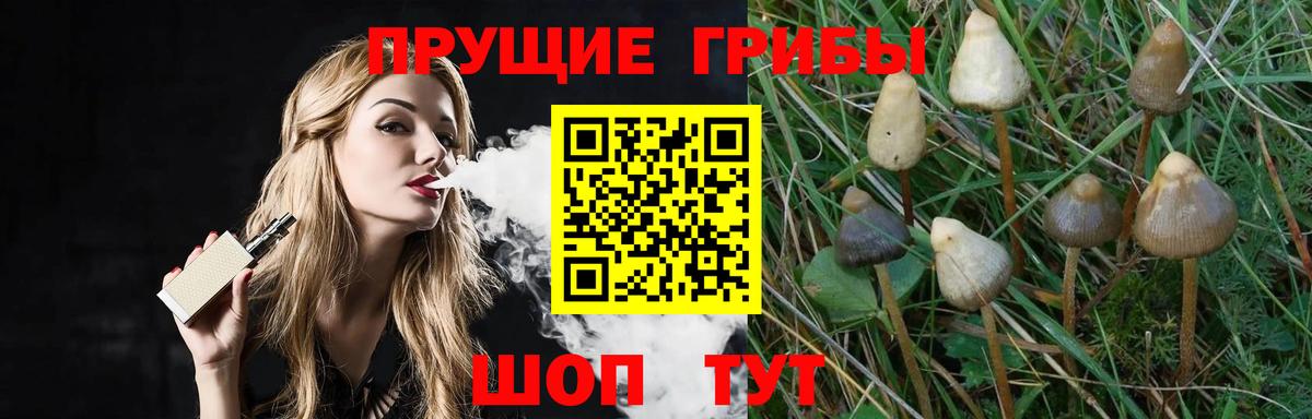 Галлюциногенные грибы прущие грибы  Вход с VPN  Пушкино 
